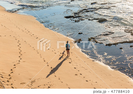 Woman Dog Walking Beach Overhead 47788410