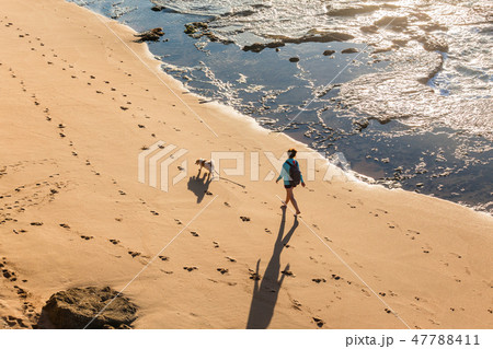 Woman Dog Walking Beach Overhead Woman Dog Walking Beach Overhead 47788411