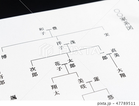 家系図　祖先　親戚　ルーツ 47789511