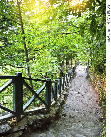 Forest Road Forest Road 47789998