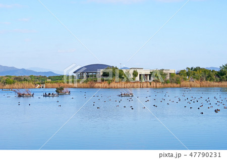 きらら浜自然観察公園 47790231