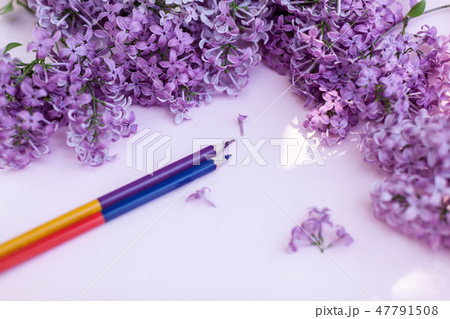 Sheets of white clean paper and spring flowers 47791508