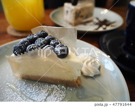 ブルーベリーチーズケーキ 47791644