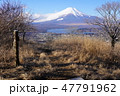高指山山頂からの富士山 47791962