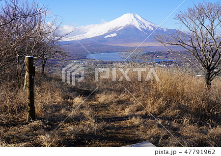 高指山山頂からの富士山 47791962