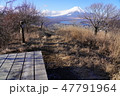 高指山山頂からの富士山 47791964