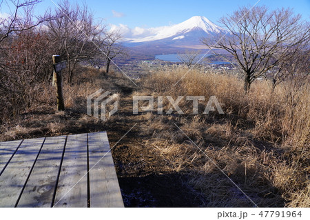 高指山山頂からの富士山 47791964