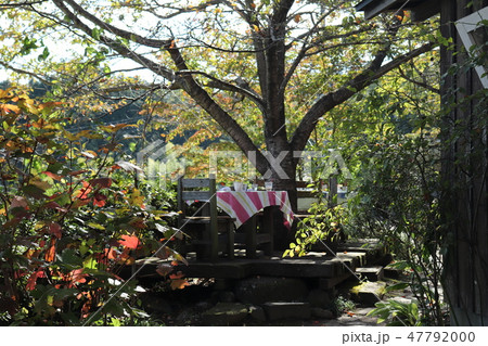 森の中のレストレン 47792000