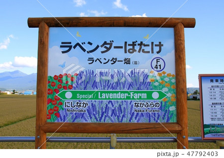 ラベンダー畑駅の駅名標 ラベンダー畑駅の駅名標 47792403