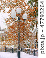 A street light covered by snow  47793264