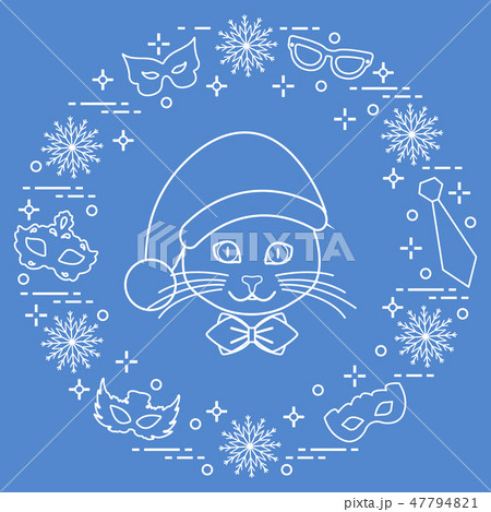 Muzzle of a cat in a Christmas hat and carnival Muzzle of a cat in a Christmas hat and carnival 47794821
