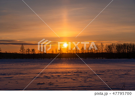 《北海道》太陽柱・夜明けの自然現象 《北海道》太陽柱・夜明けの自然現象 47795700