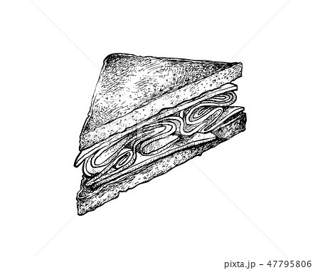 Hand Drawn Of Club Sandwich Or Clubhouse Sandwichのイラスト素材