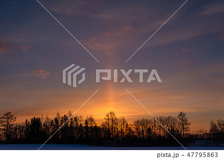 《北海道》太陽柱・夜明けの自然現象 47795863