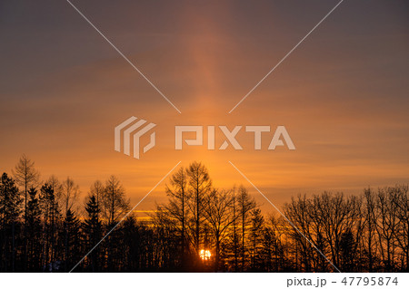 《北海道》太陽柱・夜明けの自然現象 47795874