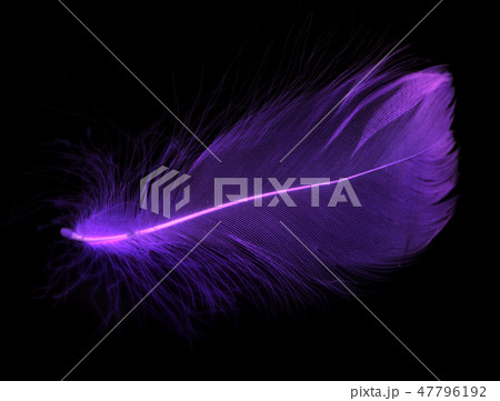 Blue feather on a black background Blue feather on a black background 47796192