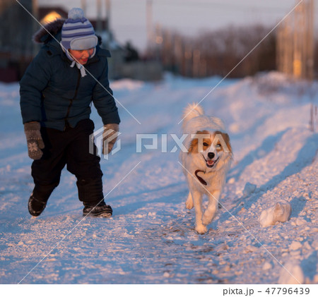 A boy with a dog in the rays of a sunset on the snow 47796439