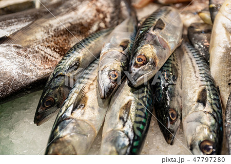 Mackerel - Fresh fish on ice at market Mackerel - Fresh fish on ice at market 47797280