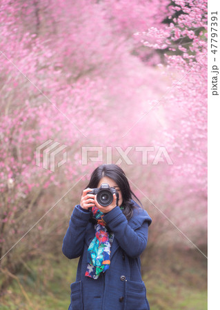 春色 春色 47797391