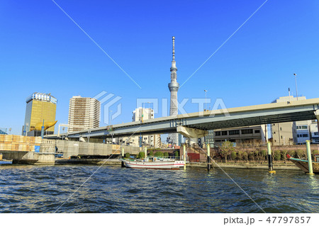水上バス　お台場〜浅草 47797857