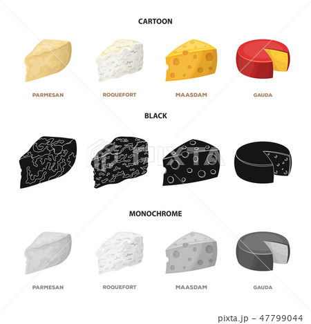 Parmesan, roquefort, maasdam, gauda.Different types of cheese set collection icons in cartoon,black 47799044