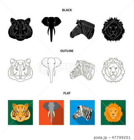 Tiger, lion, elephant, zebra, Realistic animals set collection icons in cartoon style vector symbol 47799201