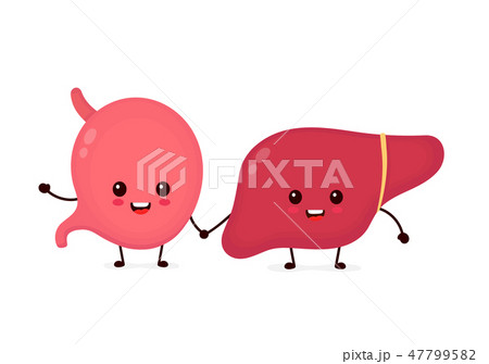 Cute strong healthy happy stomach  47799582