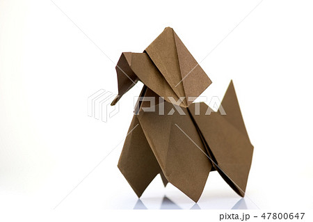 Easy dog origami figurine Easy dog origami figurine 47800647