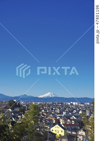 冬の狭山緑地　展望広場からの富士山方向の景観 47801196