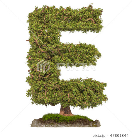 Tree letter E. Tree in shaped of letter E 47801344