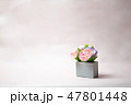 ピンクの花 47801448