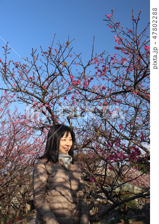 大人の女性旅 沖縄の旅 大人の女性旅 沖縄の旅 47802288