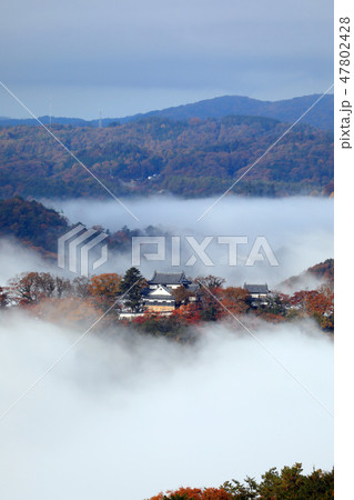 天空の城3037 天空の城3037 47802428
