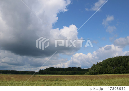 Summer landscape with field and blue sky. Summer landscape with field and blue sky. 47803052