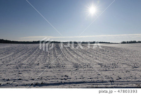 Winter landscape 47803393