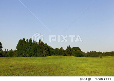 hilly area on an agricultural field hilly area on an agricultural field 47803444