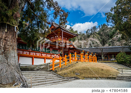 奈良県　春日大社 47804586