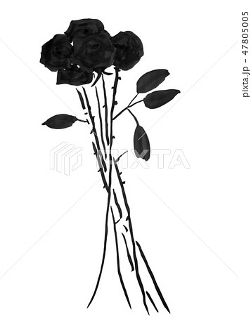 薔薇 水墨画イラスト グレー 手書きのイラスト素材