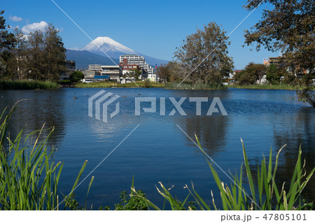 富士山と中郷温水池 富士山と中郷温水池 47805101