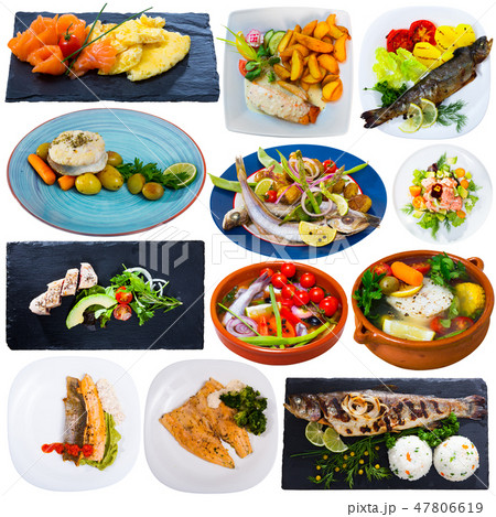 Collection of various fish dishes 47806619