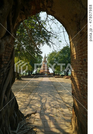 Wat Phra Ngarm in Ayutthaya, Thailand 47807988