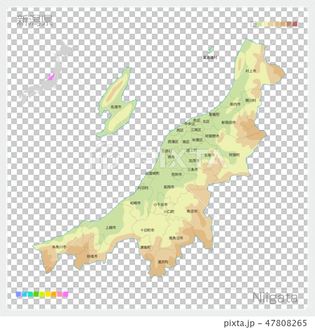 新潟県の地図 等高線 色分け 市町村 区分け のイラスト素材 47808265 Pixta