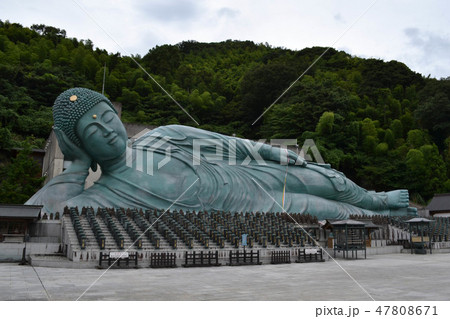 the big Buddha statue at Nanzoin Temple, Sasaguri the big Buddha statue at Nanzoin Temple, Sasaguri 47808671
