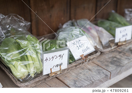 無人野菜販売 無人野菜販売 47809261