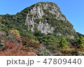 紅葉 47809440