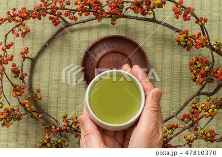 古式なお茶会　Old-fashioned Japanese tea ceremony 47810370