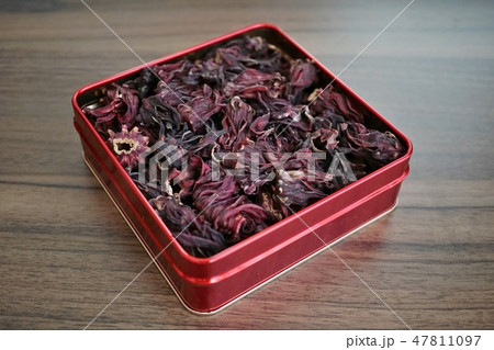 ハイビスカス、ローゼル、グラチアップ(Hibiscus) ハイビスカス、ローゼル、グラチアップ(Hibiscus) 47811097