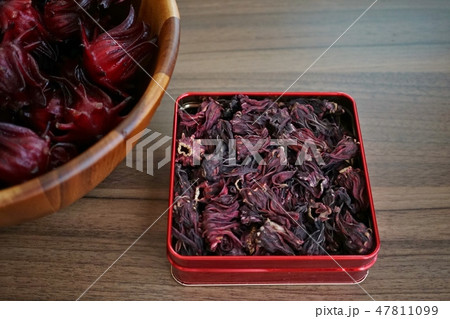 Rozelle sabdariffa, Hibiscus in Thailand 47811099