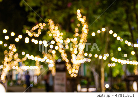 Blur string lights hanging on tree in the garden  Blur string lights hanging on tree in the garden  47811911