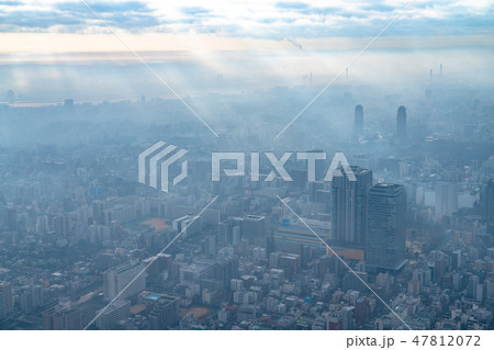 《東京都》霧に包まれた東京の朝 47812072